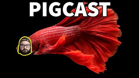 FISH SCANDAL- PigCast