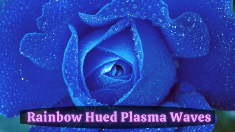 Blue Rose ~ Beautiful Rainbow Hued Plasma Waves ~ Collective Timeline is Collapsing