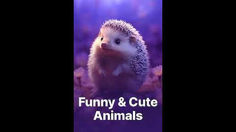 Best Of The 2022 Funny Animal Videos 😁 - Cutest Animals Ever