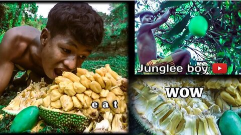 Jackfruit eating video in jungle