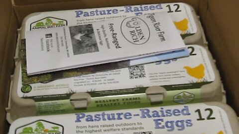 Zinc in your eggs, how?