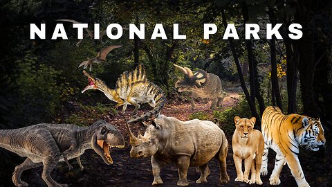 National Geographic Animals Discovery Truth