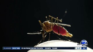 Officials warn of bad mosquito season