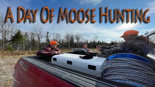 A Day Of Moose Hunting