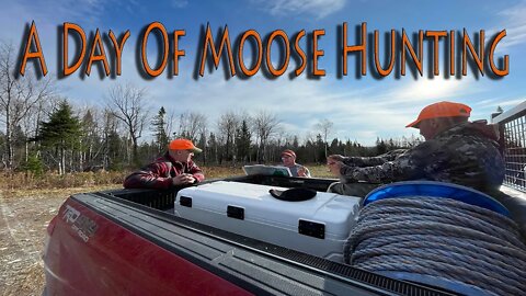 A Day Of Moose Hunting