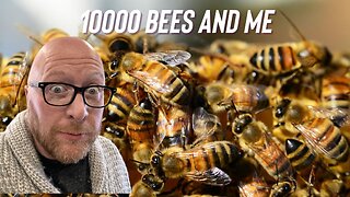 10000 bees and me