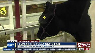 Lawton family showcasing cattle at Tulsa State Fair