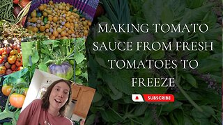 Making Tomato Sauce from Fresh Tomatoes to Freeze