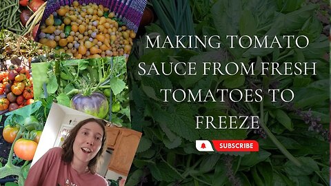 Making Tomato Sauce from Fresh Tomatoes to Freeze