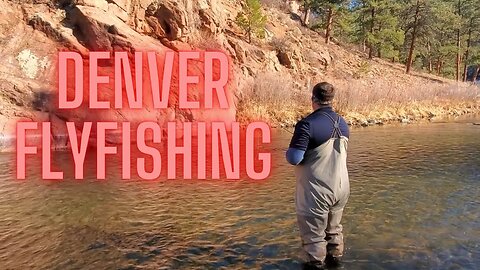 Fly Fishing Denver, Colorado #flyfishing