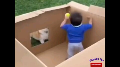 cute beby kids with Dog game playing🤣🤣 interesting video