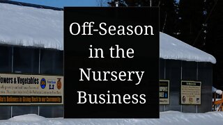 What Should a Plant Business Do in the Winter?