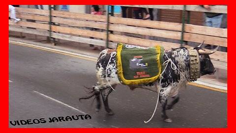 RINCON DE SOTO ( LA RIOJA ) SAN MIGUEL TARDE DE TOROS ( JUEVES 29 SEPTIEMBRE 2022 ) TOROPASION