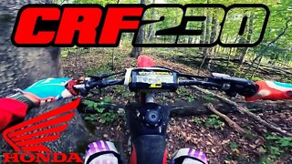 Let's see what the Honda CRF230F is all about #CRF #honda