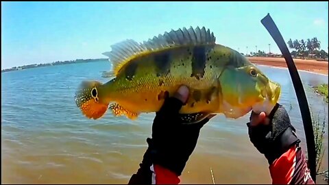 #11 Fishing Peacock Bass - Kayak Fishing - Ultralight Reel Style - Pesca de Tucunaré