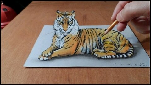 Drawing 3D Tiger - How to Draw a Tiger - Trick Art on Paper - By ArtCreativity & Calligraphy