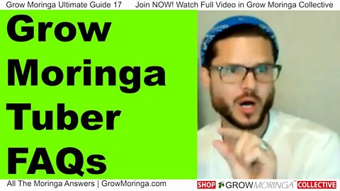 Moringa Root Tuber FAQ's: Eat Young Moringa Roots, Powder Roots For Spice, Regrow into Bigger Trees