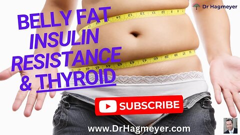Belly Fat and Insulin Resistance- How Insulin Resistance Makes You Fat