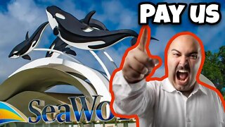 SeaWorld Nearly $10M In Debt | City Demands Rent Payment