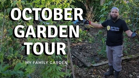 October Garden Tour - Autumn Garden Tidy and Harvest From Our Permaculture Garden