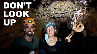 Crawling through a cave with snakes (EP 53)