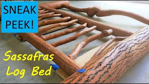 Custom Sassafras Log Bed - Sneak Peek!