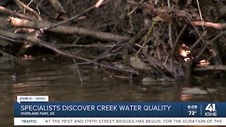 Specialists monitor creek water quality
