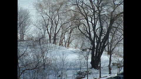 Park Lawn GO: from transit solution to Humber Bay Shores to devastation of the Mimico Creek habitat