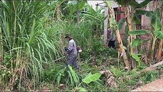 Help the elderly couple transform the garden Clean the house Clear the trees for free