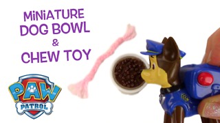 Miniature dog food bowl and toy DIY tutorial
