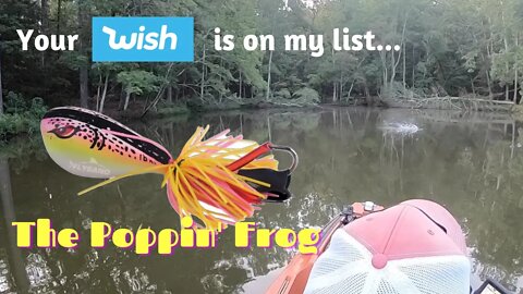 The Popping Frog - Cheap Fishing Lure Challenge from Wish.com - Kayak Bass Fishing Lake Oliphant