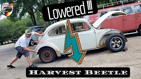 Harvest Beetle Gets Dropped!