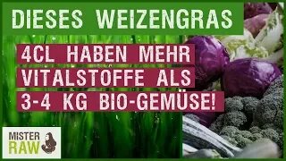 4cl dieses Weizengras haben mehr Vitalstoffe als 3-4 kg Bio-Gemüse