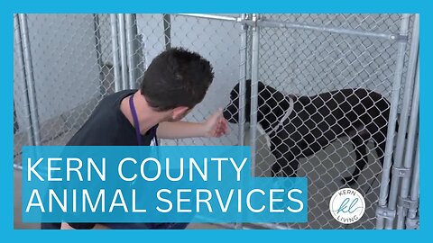 Kern County Animal Services | KERN LIVING