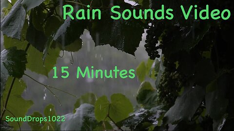 15-Min Rain Ambiance: Tranquil Respite