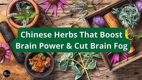 Amazing Chinese Herbs That Help to Reduce BRAIN FOG