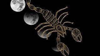 Eclipse Tarotscope | Full Moon In Scorpio ~ Phoenix