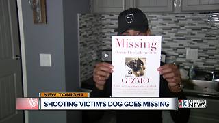 Man shot twice when his dog went missing