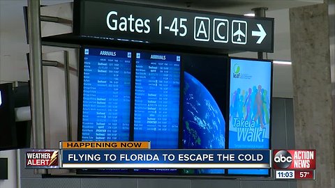 Passengers book flight to Florida to avoid sub-zero temperatures