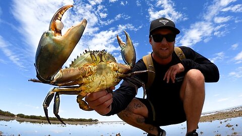 GIANT MUD CRABS - CAUGHT BY HAND - catch and cook on the fire