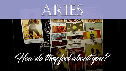 Aries💖 3rd party is SHOCKED! Your TRUE LOVE wants to free themselves to be with you! Nov 25 - Dec 1