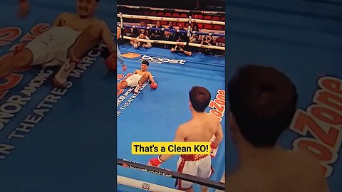 That's a Clean KO !!! #boxingfight #boxing #proboxing #ko #professionalboxing