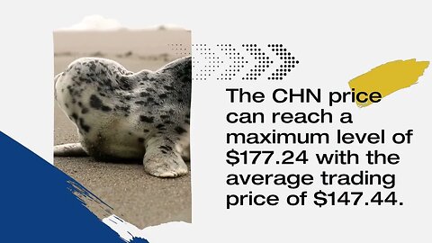 Chain Price Prediction 2023, 2025, 2030 Is CHN a good investment