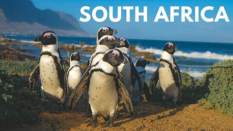 Top 10 Places To Visit In South Africa
