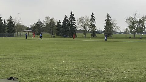 Cricket match in Edmonton, Canada