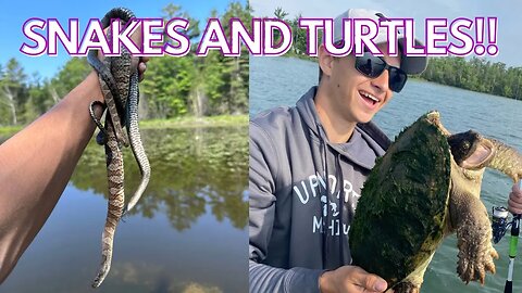 Catching snakes and turtles in Michigan! Herping 2023!