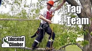 Tag Team - Silver Maple Trim w/ James | Arborist Climbing Techniques