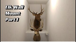 Elk Wall Mount Part 1