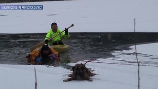 WATCH: Firefighter rescues dog that fell through ice on frozen lake
