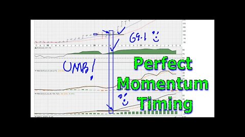 Perfect Momentum Timing - #1462